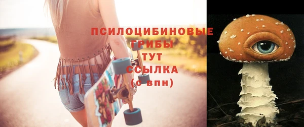 кокс Ростов
