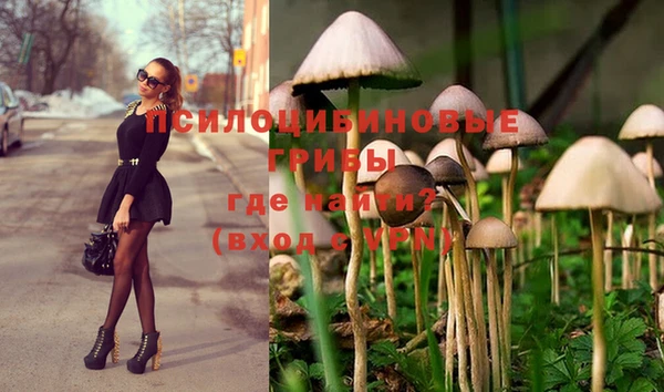 мяу мяу кристалл Рославль